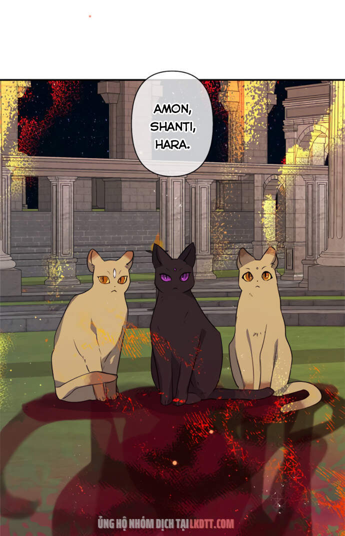 Thuần Hóa Quái Thú Thật Tốt - Chương 18