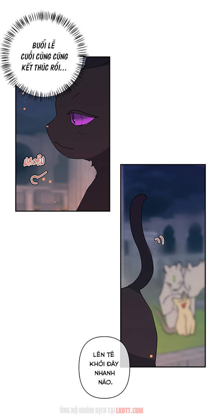 Thuần Hóa Quái Thú Thật Tốt - Chương 18