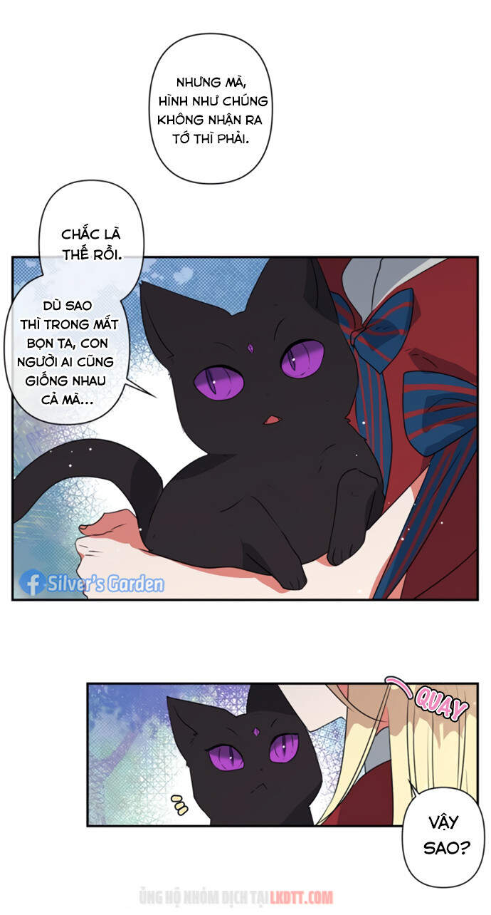 Thuần Hóa Quái Thú Thật Tốt - Chương 19