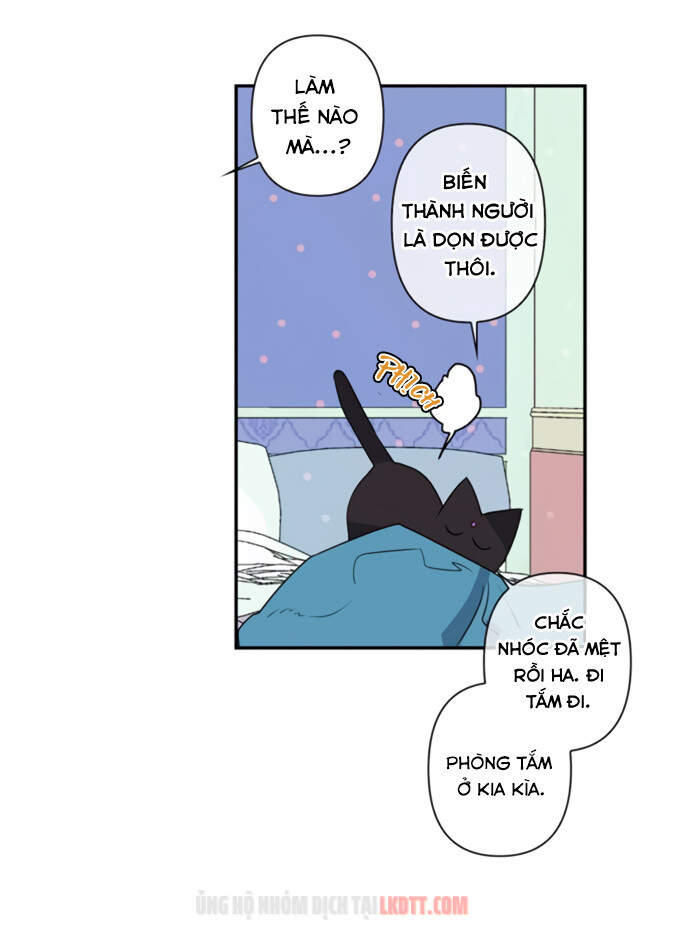 Thuần Hóa Quái Thú Thật Tốt - Chương 19