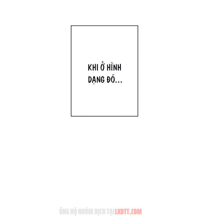 Thuần Hóa Quái Thú Thật Tốt - Chương 19