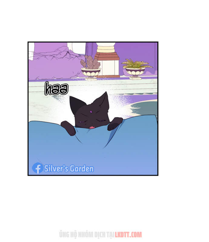 Thuần Hóa Quái Thú Thật Tốt - Chương 19