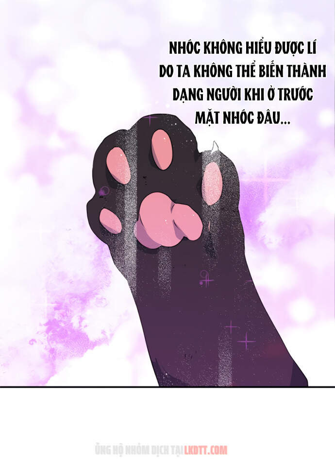 Thuần Hóa Quái Thú Thật Tốt - Chương 19