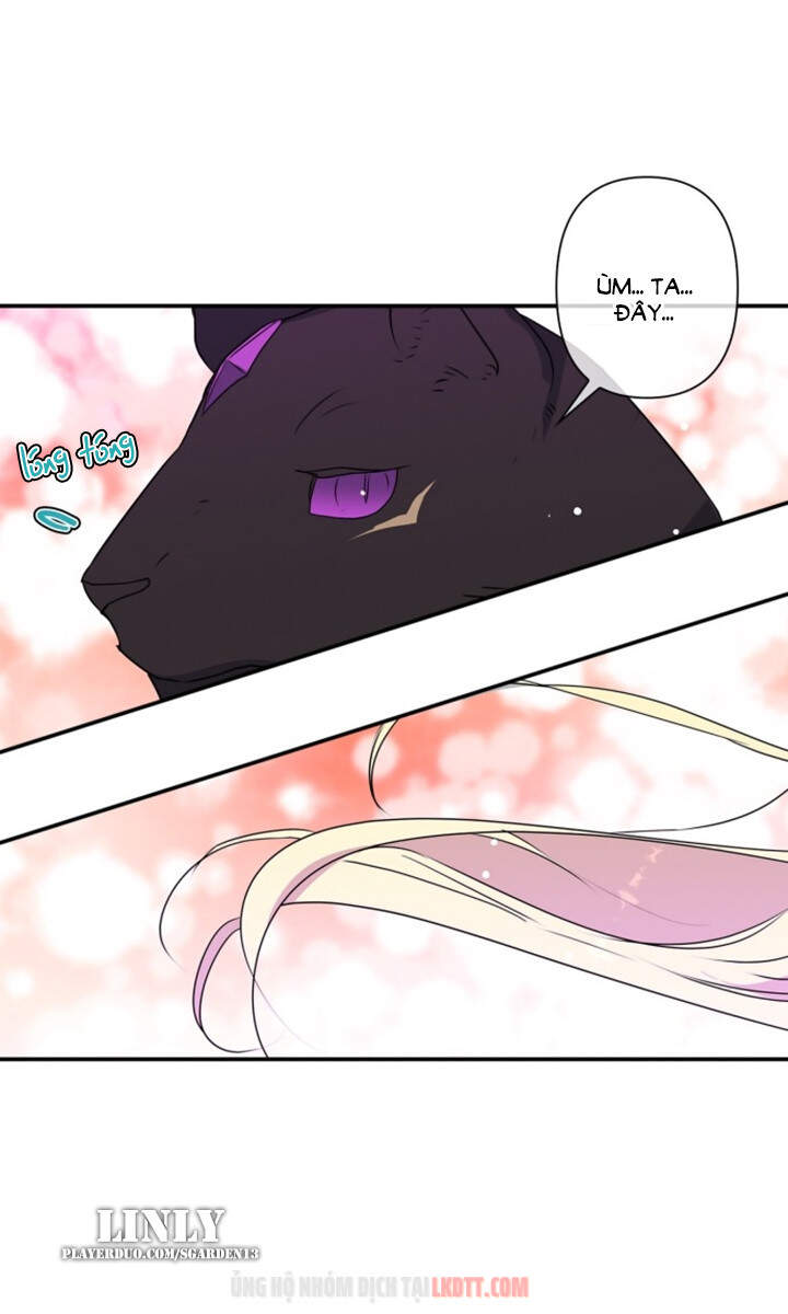 Thuần Hóa Quái Thú Thật Tốt - Chương 28