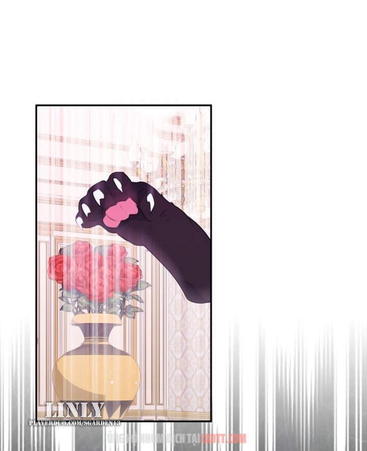 Thuần Hóa Quái Thú Thật Tốt - Chương 28