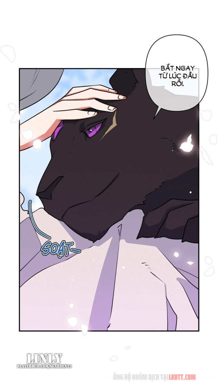 Thuần Hóa Quái Thú Thật Tốt - Chương 32