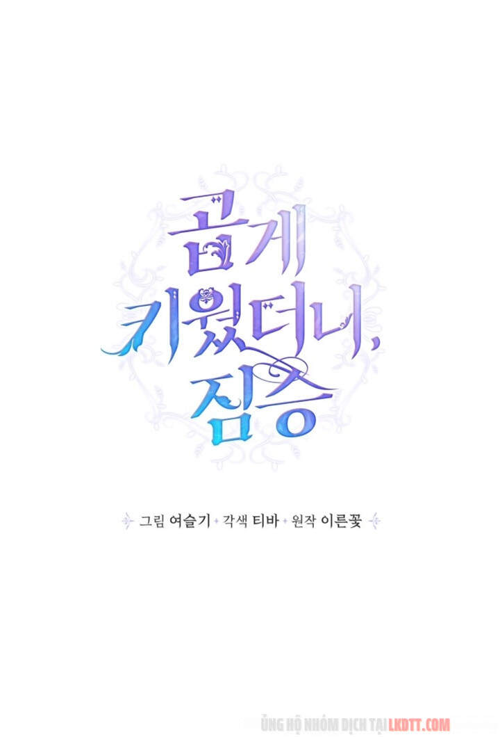 Thuần Hóa Quái Thú Thật Tốt - Chương 33