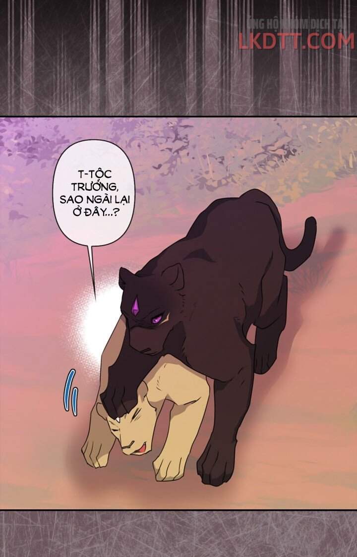 Thuần Hóa Quái Thú Thật Tốt - Chương 34