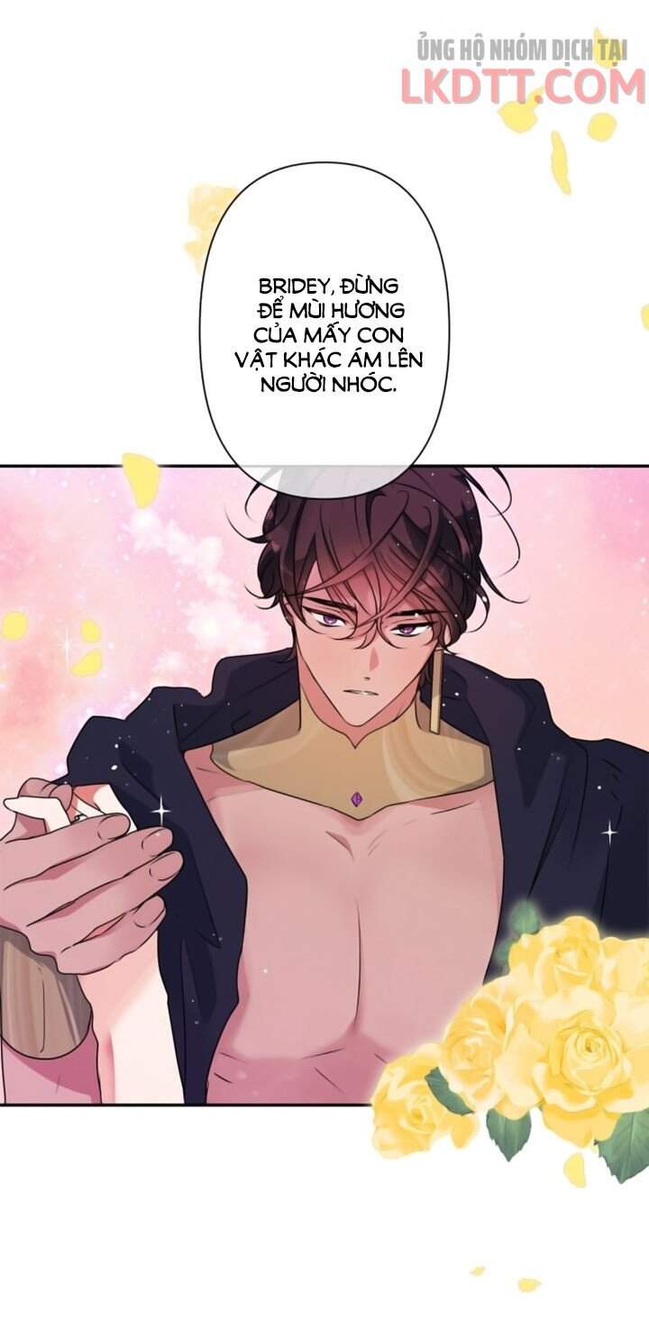 Thuần Hóa Quái Thú Thật Tốt - Chương 34