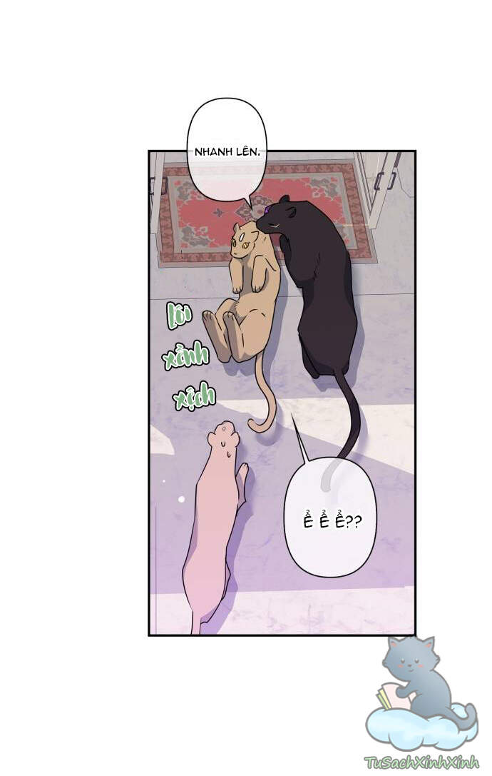 Thuần Hóa Quái Thú Thật Tốt - Chương 37