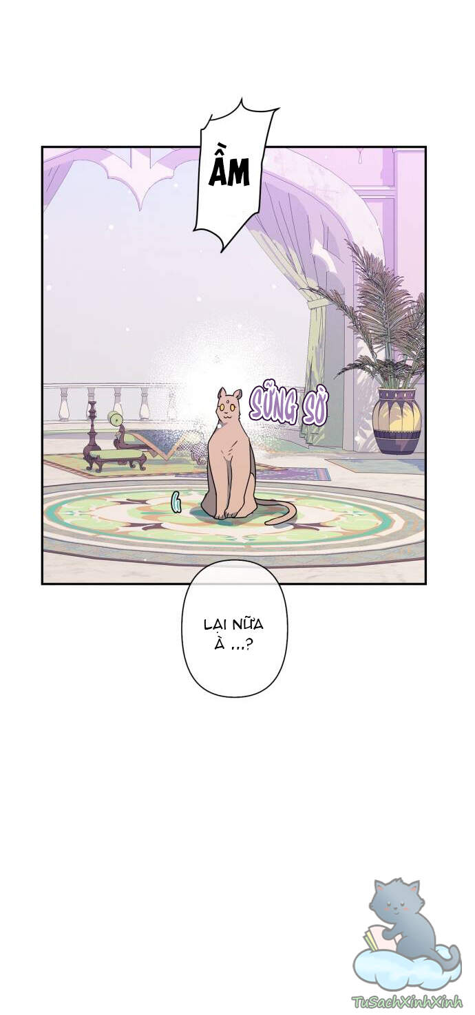 Thuần Hóa Quái Thú Thật Tốt - Chương 37