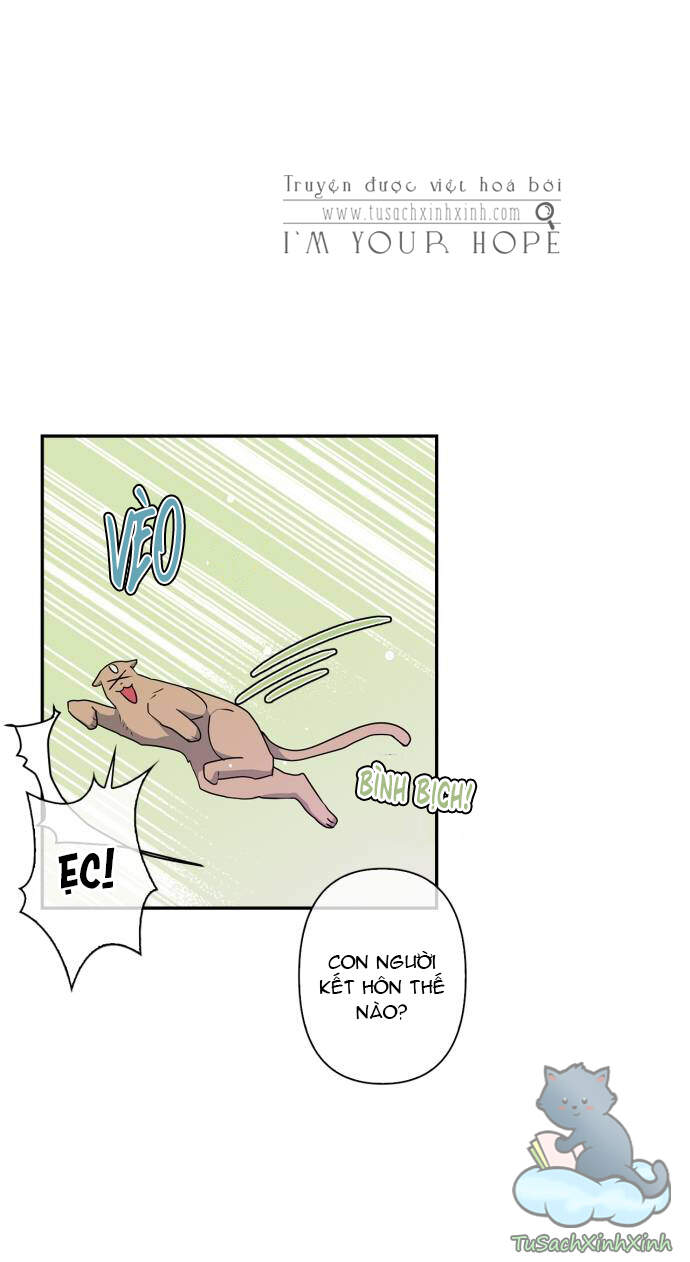 Thuần Hóa Quái Thú Thật Tốt - Chương 37