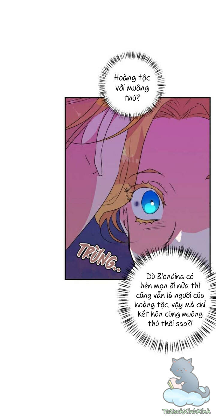 Thuần Hóa Quái Thú Thật Tốt - Chương 41