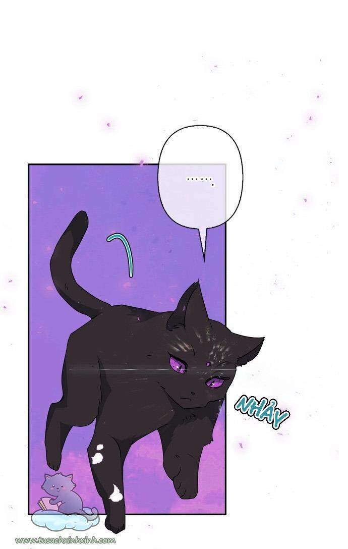 Thuần Hóa Quái Thú Thật Tốt - Chương 53