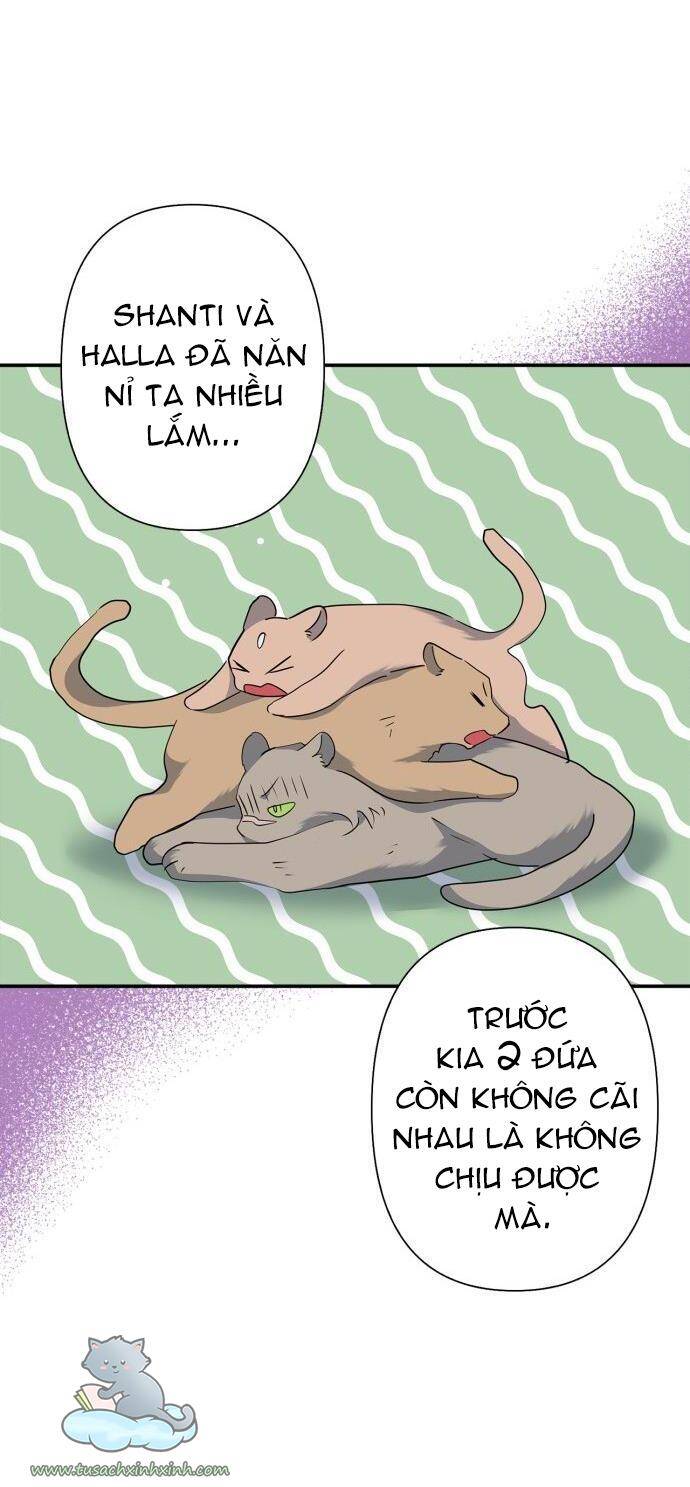 Thuần Hóa Quái Thú Thật Tốt - Chương 68