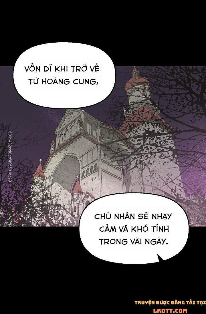 Hãy Bỏ Mặc Tôi - Chương 45