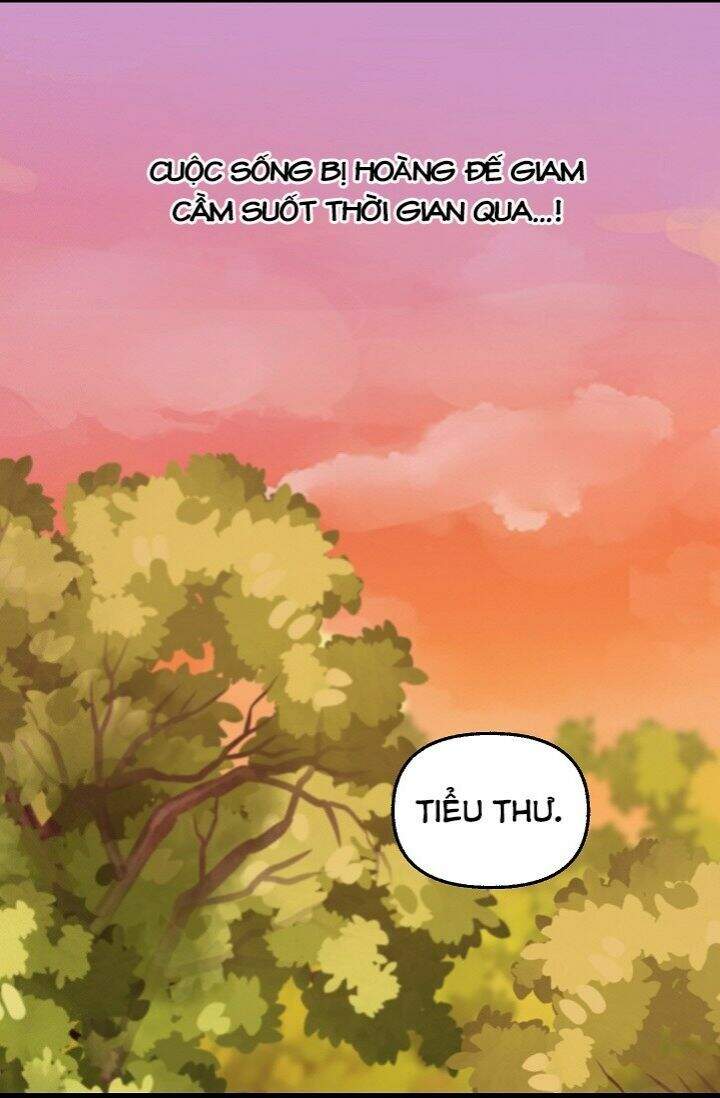 Hãy Bỏ Mặc Tôi - Chương 25