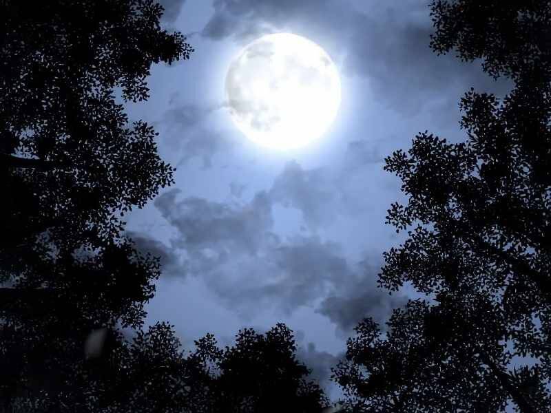 Thiên Ma Thần Quyết: Trùng Sinh - Chương 43.5