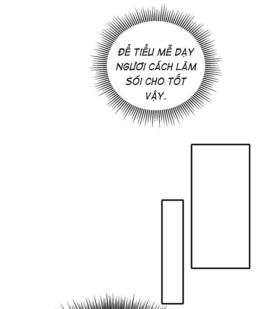 Dẫn Sói Vào Nhà - Chương 16