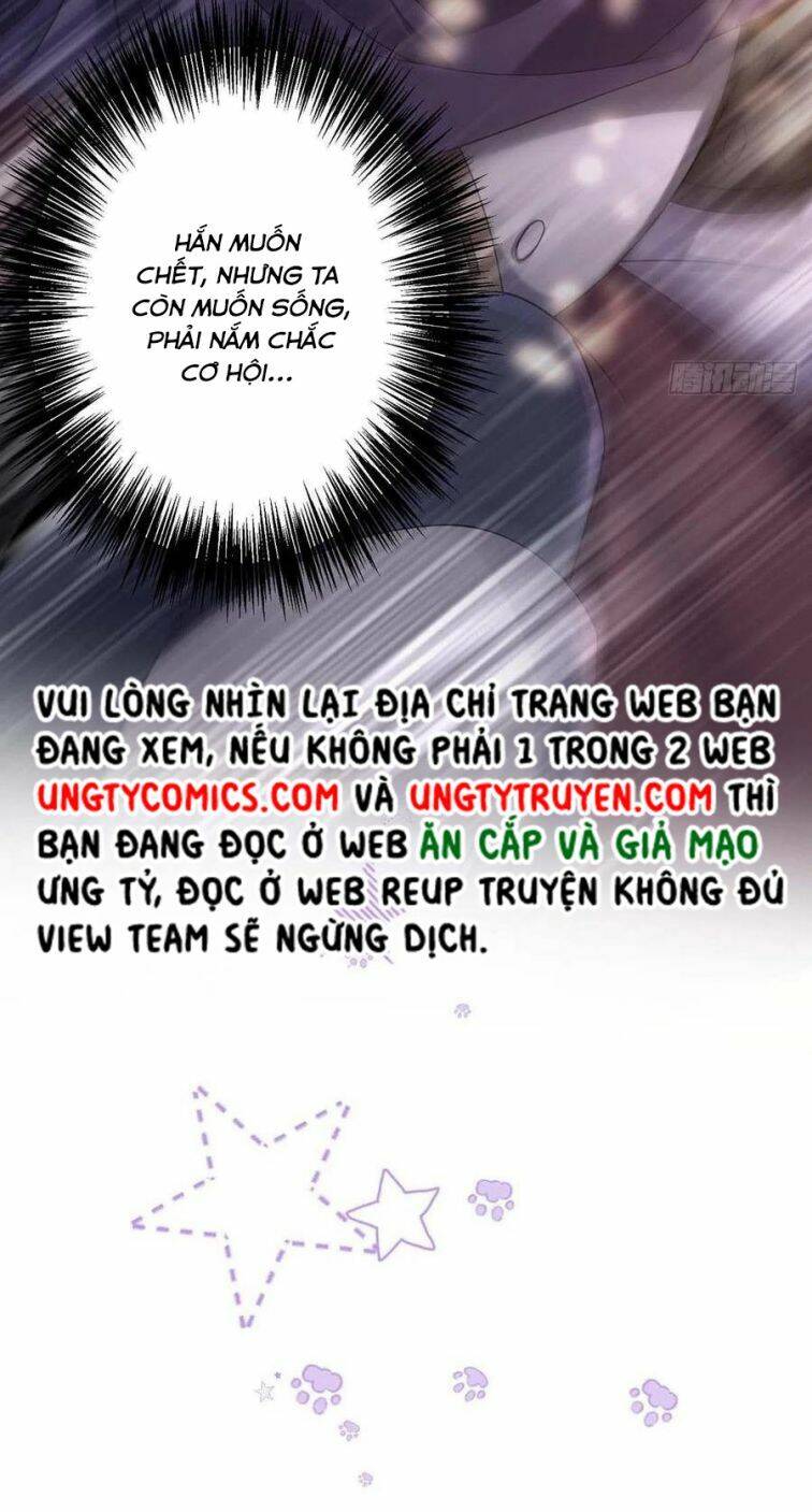 Dẫn Sói Vào Nhà - Chương 41