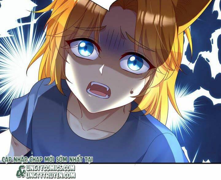 Dẫn Sói Vào Nhà - Chương 70