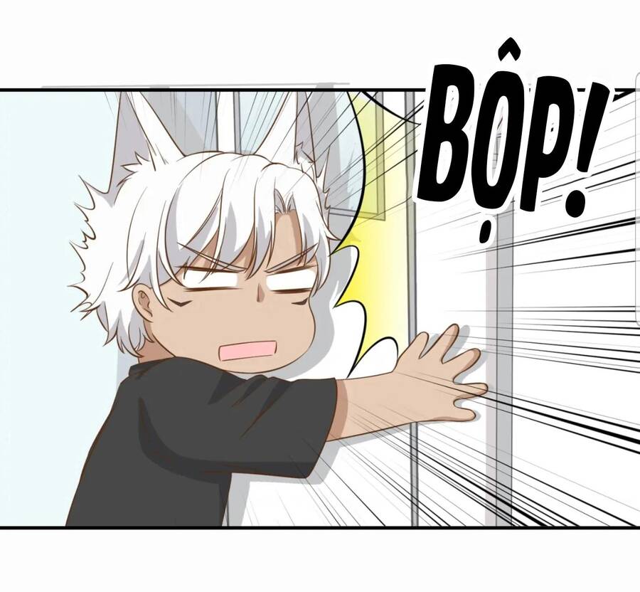 Dẫn Sói Vào Nhà - Chương 18