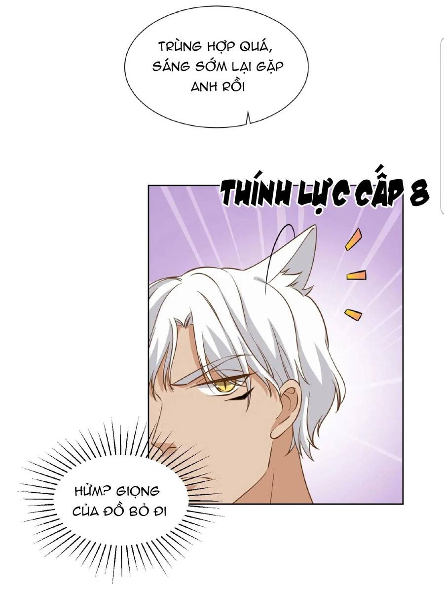 Dẫn Sói Vào Nhà - Chương 19