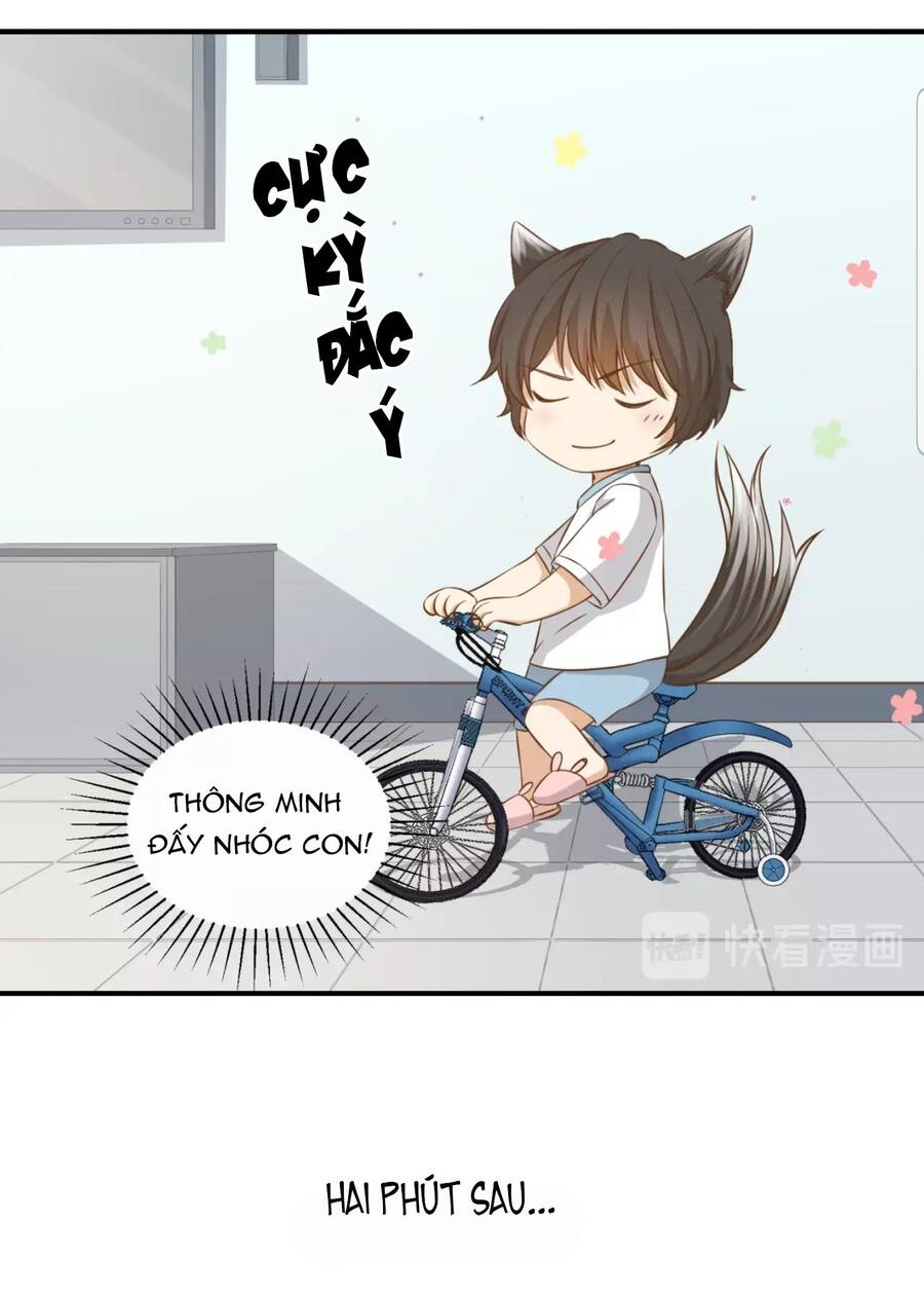 Dẫn Sói Vào Nhà - Chương 21