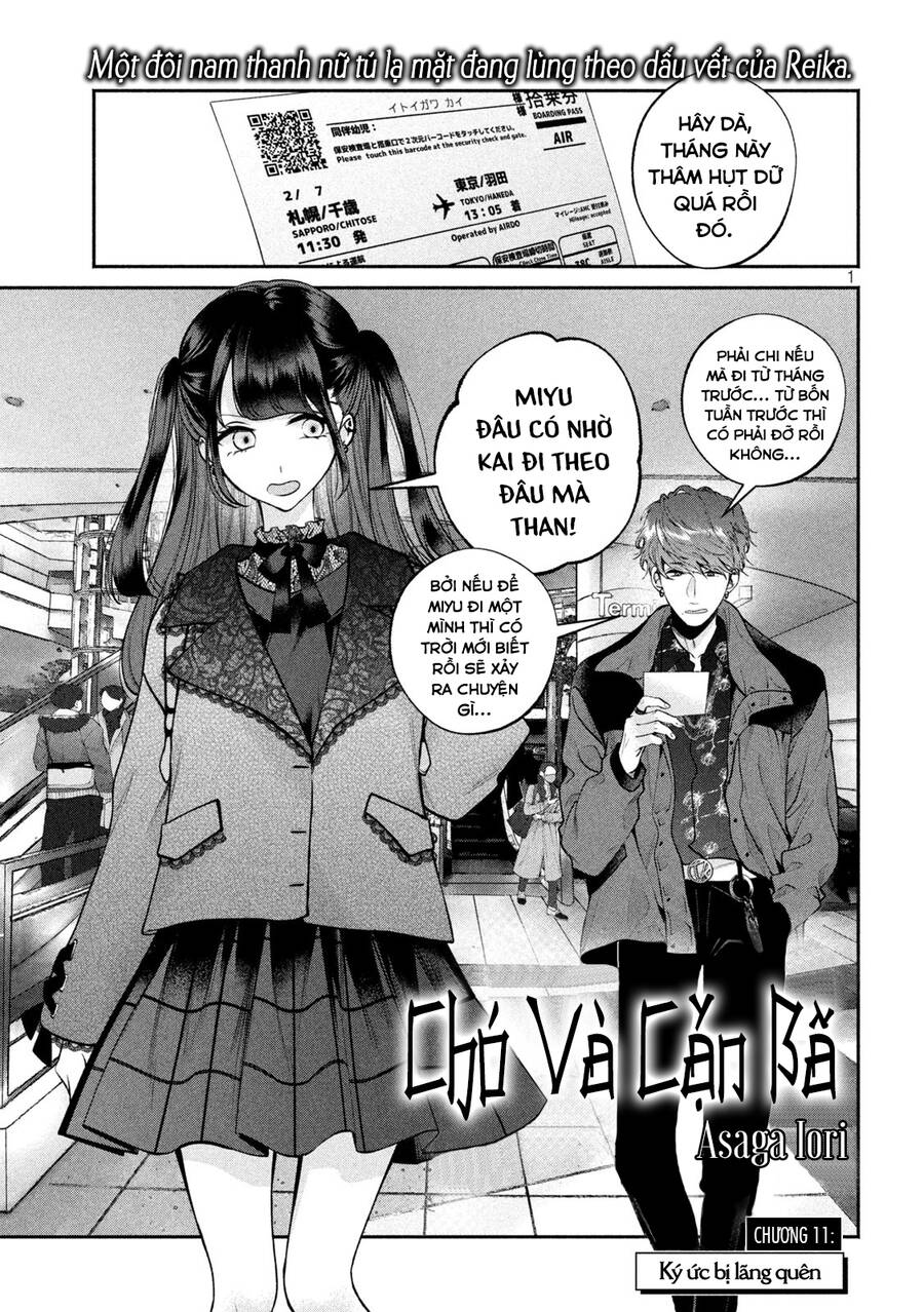 Chó Và Cặn Bã - Chương 11