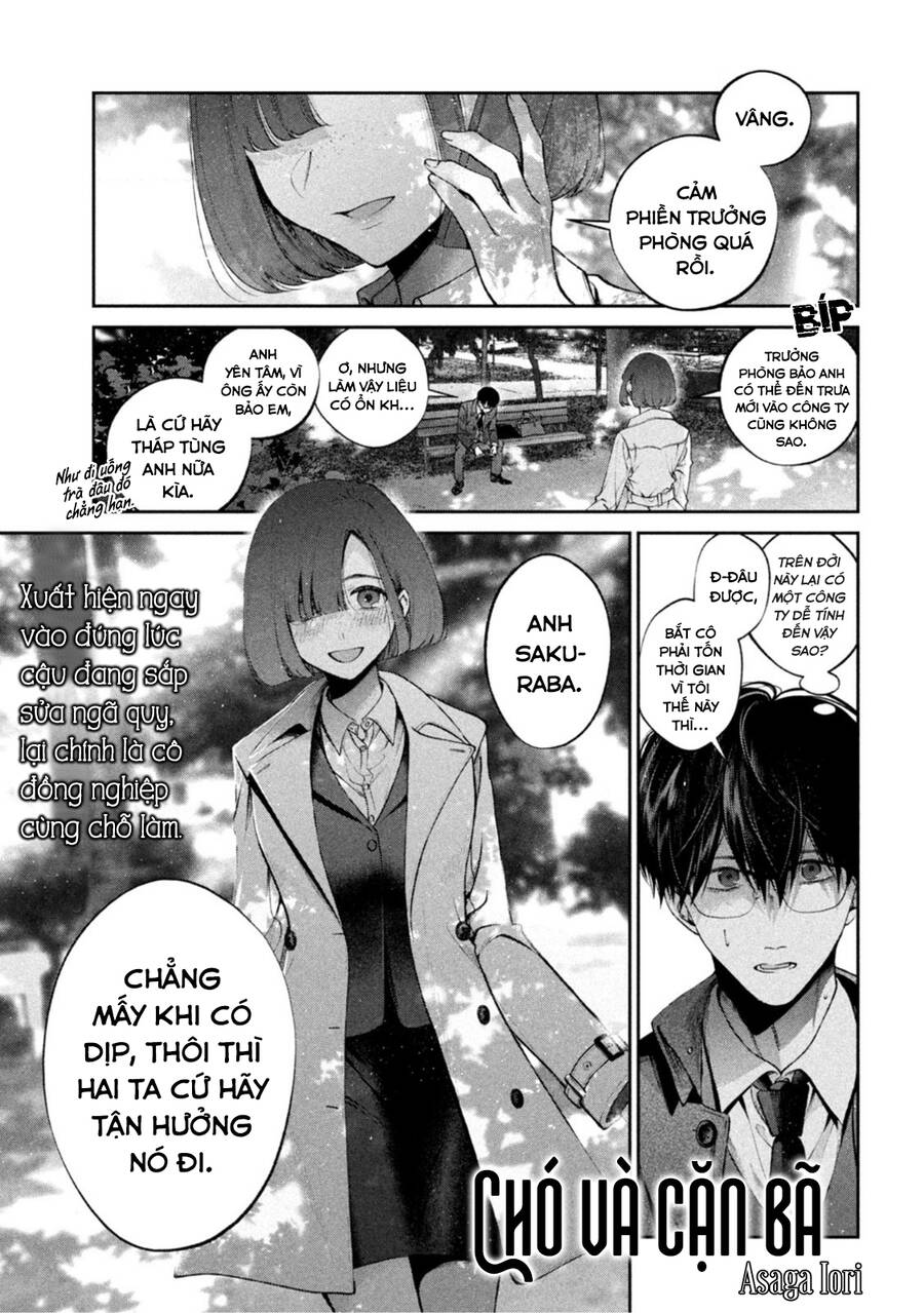 Chó Và Cặn Bã - Chương 16