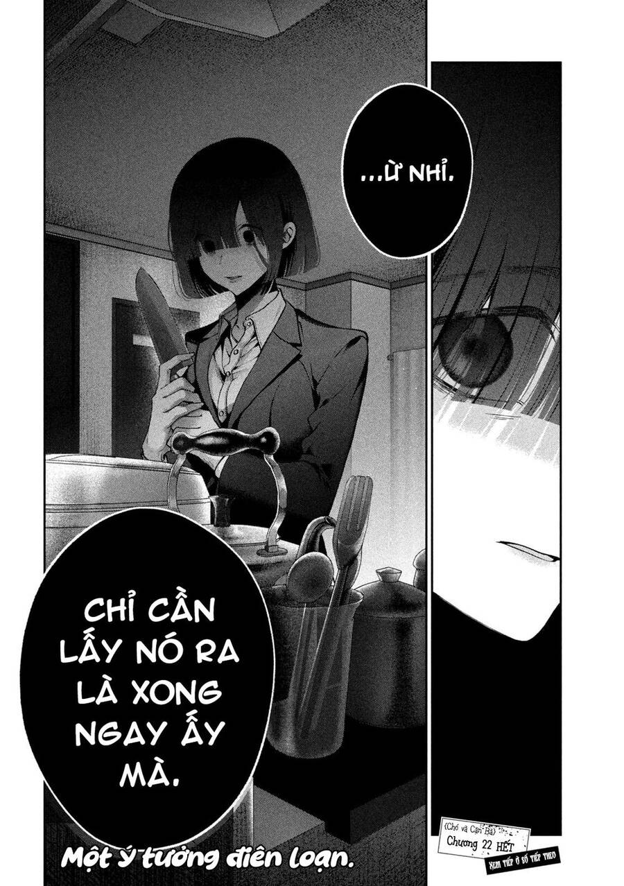 Chó Và Cặn Bã - Chương 22