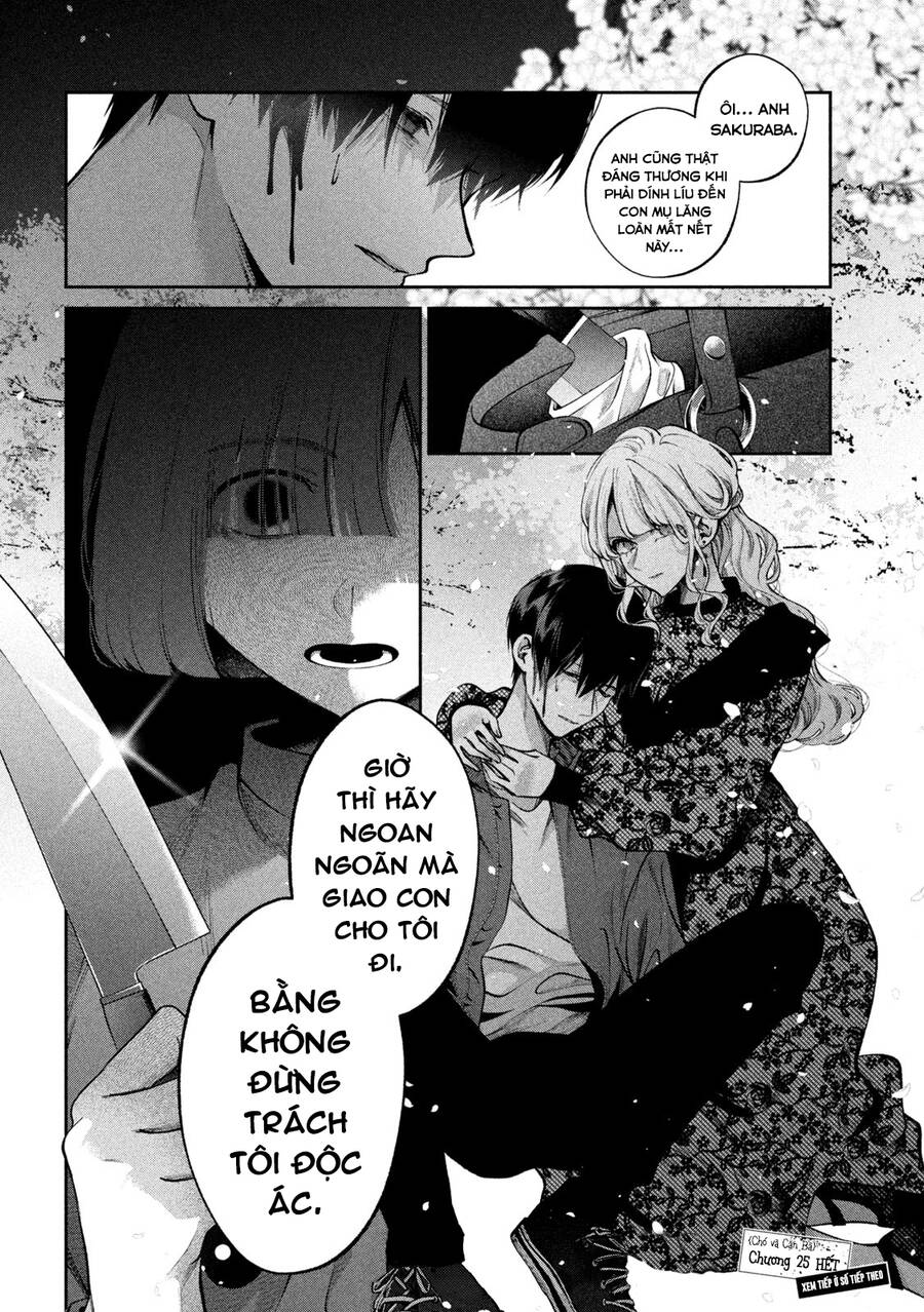 Chó Và Cặn Bã - Chương 25