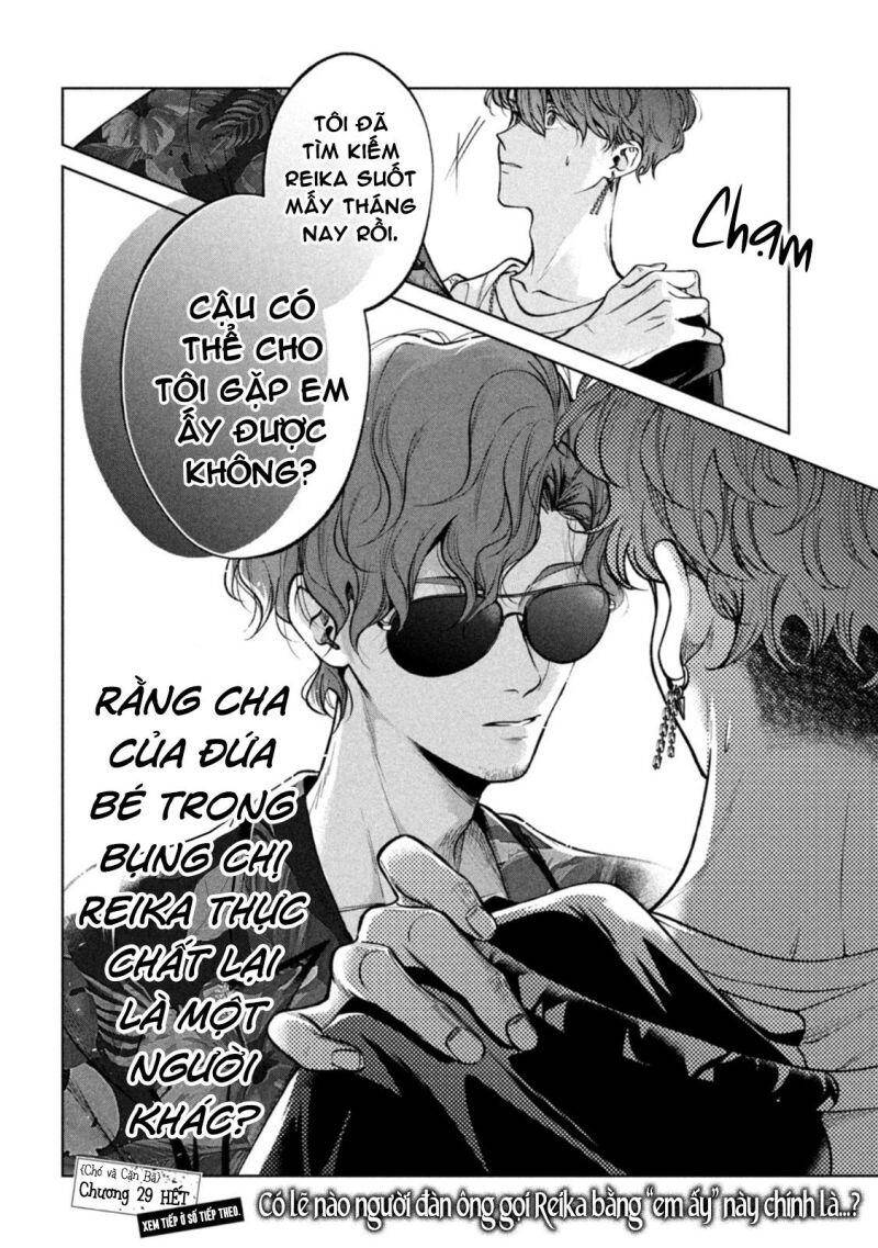Chó Và Cặn Bã - Chương 29