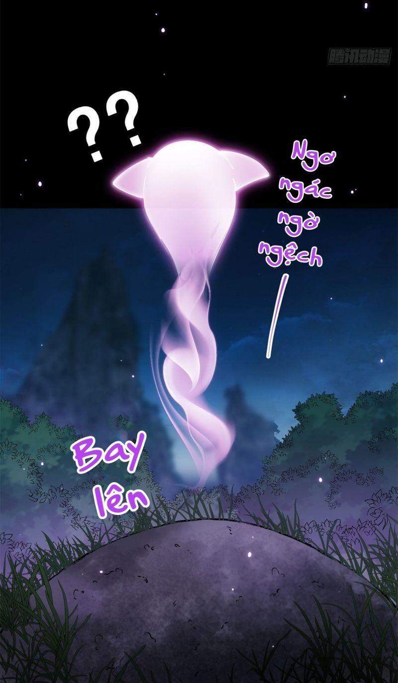 Chưởng Môn Khiêm Tốn Chút - Chương 16