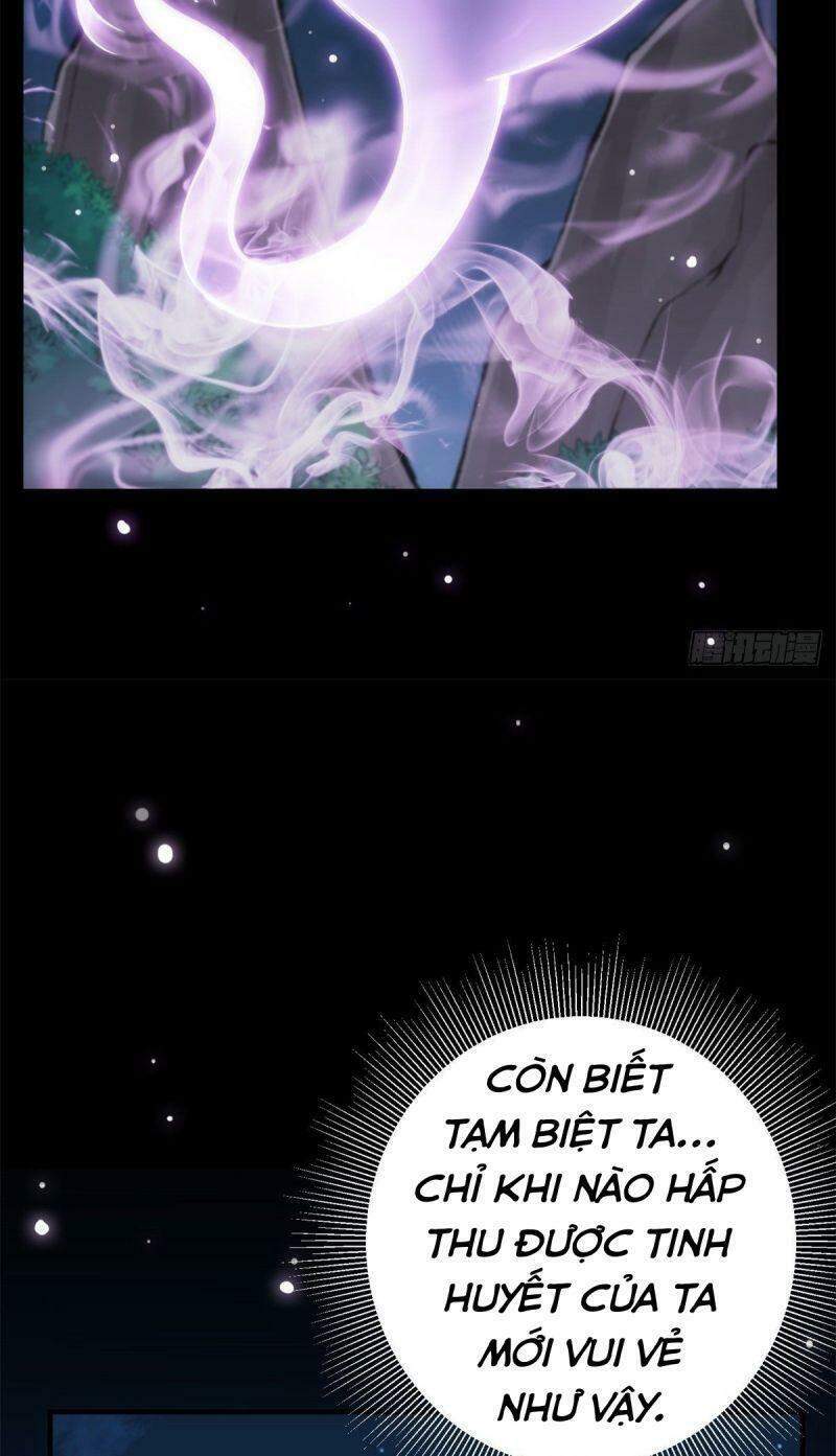 Chưởng Môn Khiêm Tốn Chút - Chương 17