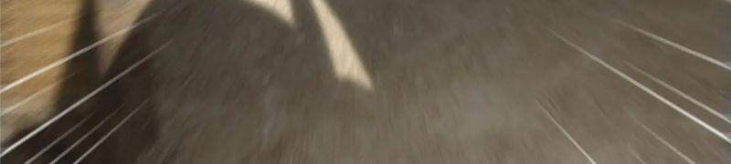 Chưởng Môn Khiêm Tốn Chút - Chương 63