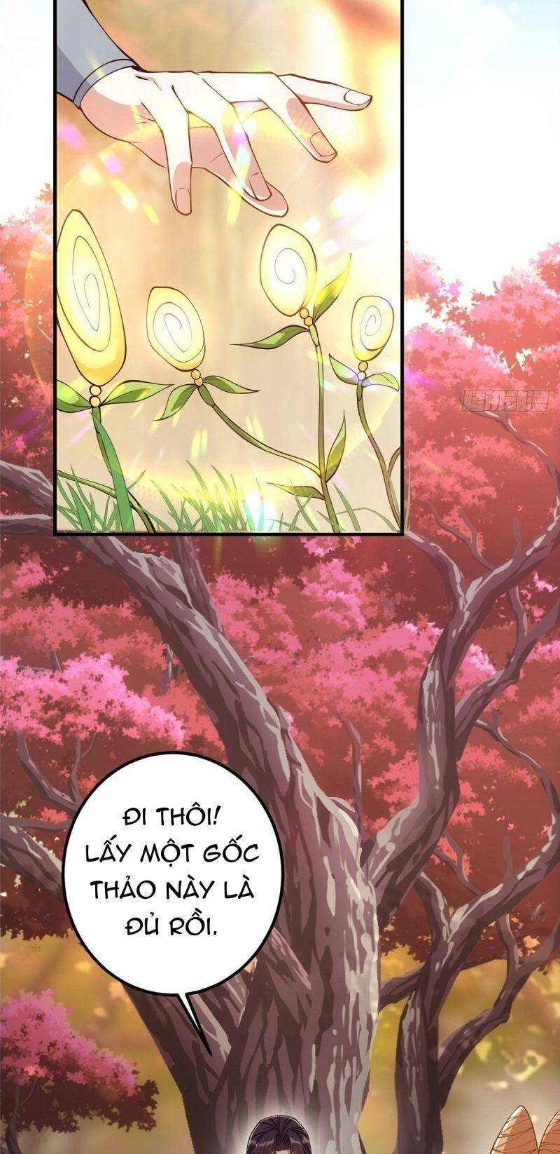 Chưởng Môn Khiêm Tốn Chút - Chương 6