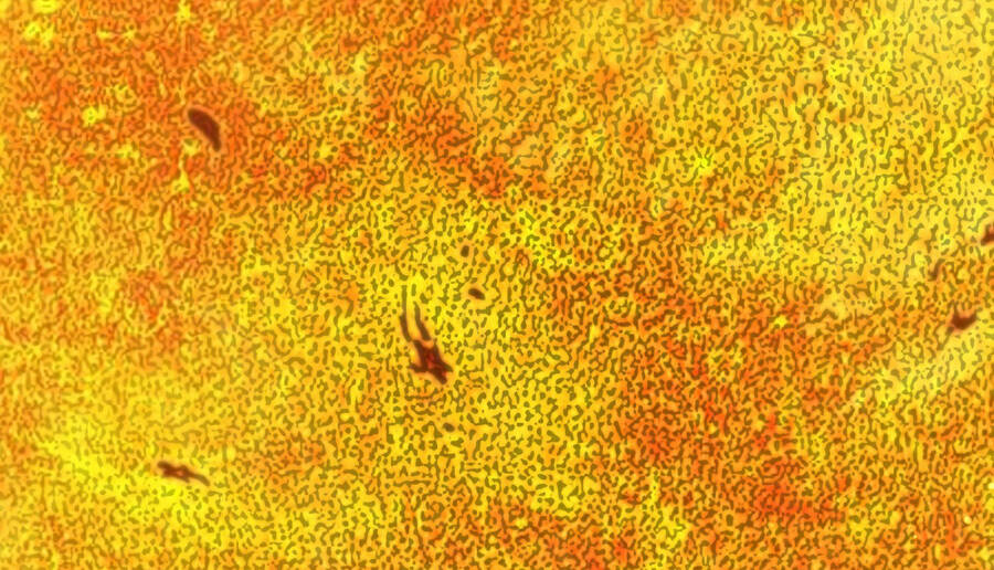 Sức Mạnh Của Ác Thần - Chương 33