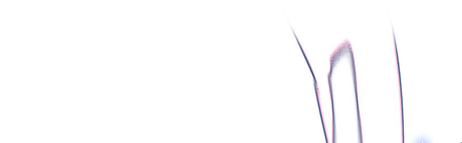 Ma Vương Trở Lại - Chương 26