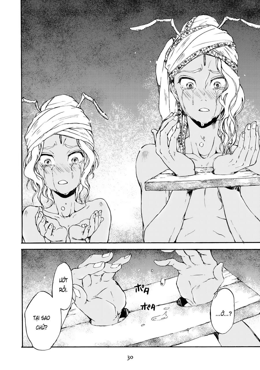 Đế Quốc Kiến - Chương 1