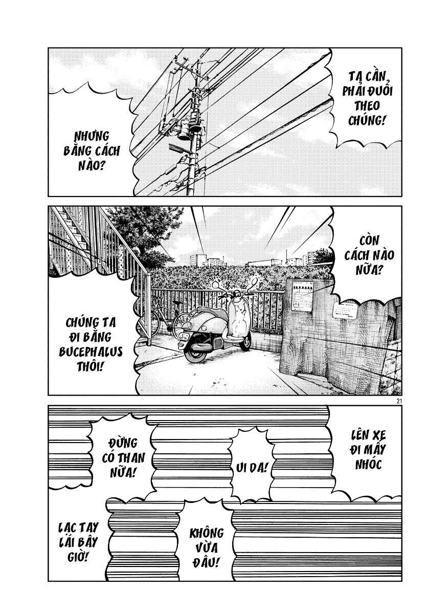 Mr.zetton - Chương 5