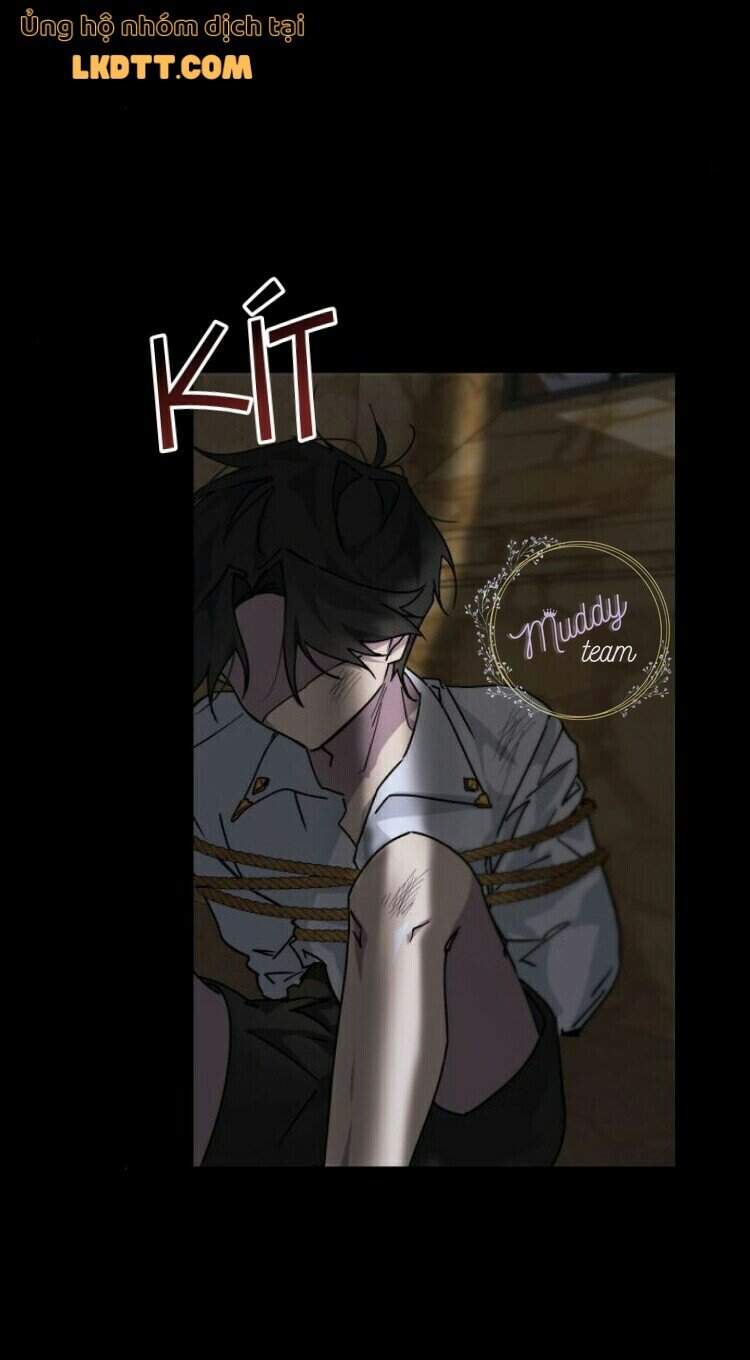 Ta Đã Từng Mong Nàng Biến Mất - Chương 15