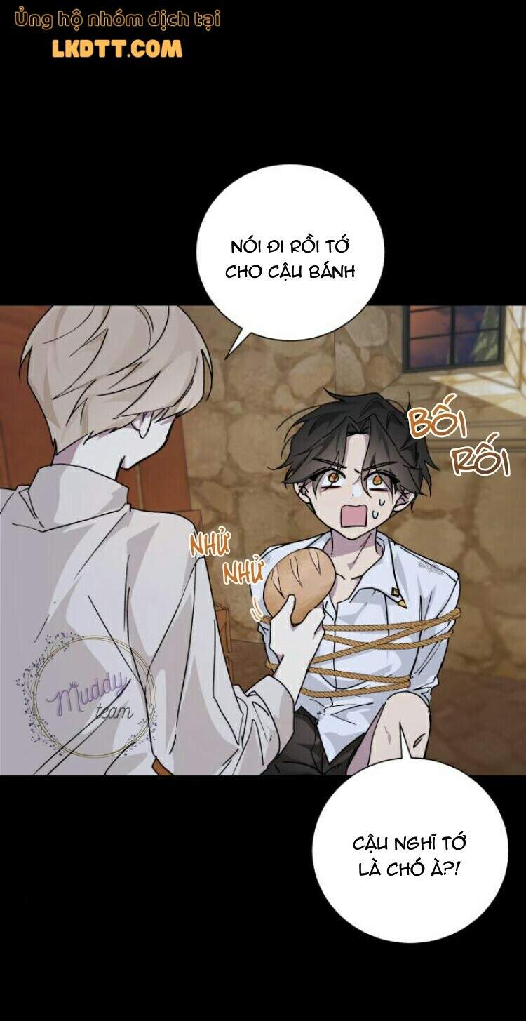 Ta Đã Từng Mong Nàng Biến Mất - Chương 15