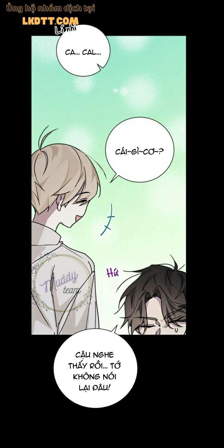 Ta Đã Từng Mong Nàng Biến Mất - Chương 15