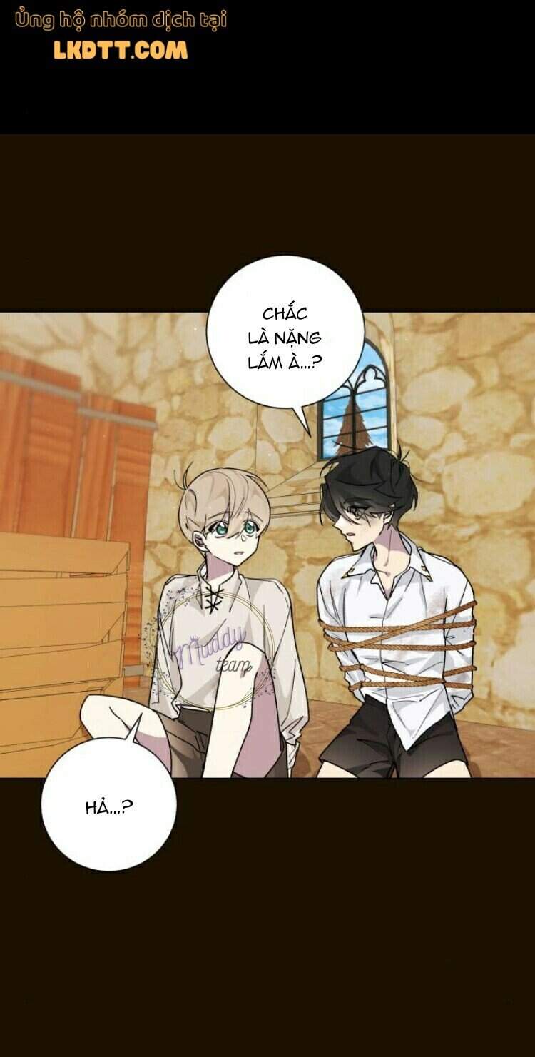 Ta Đã Từng Mong Nàng Biến Mất - Chương 16