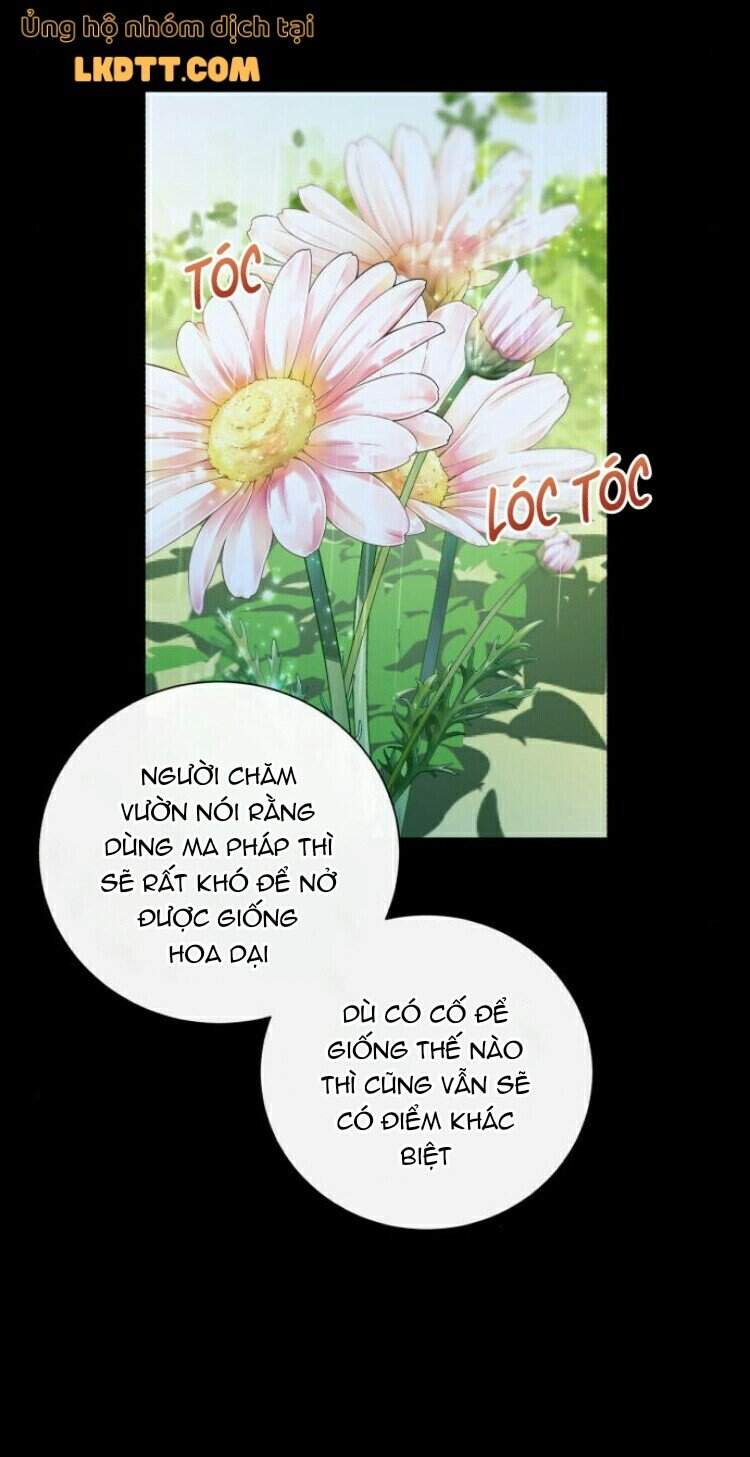 Ta Đã Từng Mong Nàng Biến Mất - Chương 18