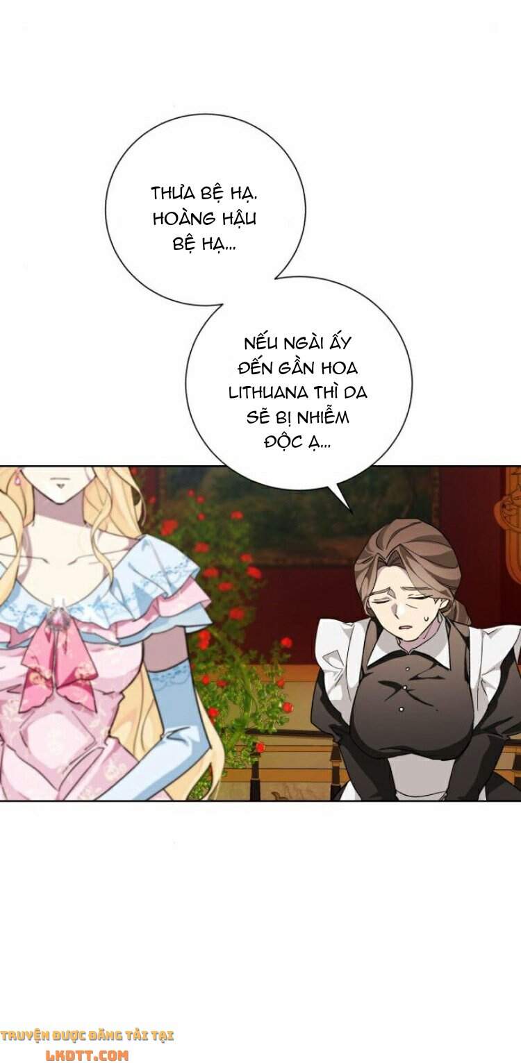 Ta Đã Từng Mong Nàng Biến Mất - Chương 21