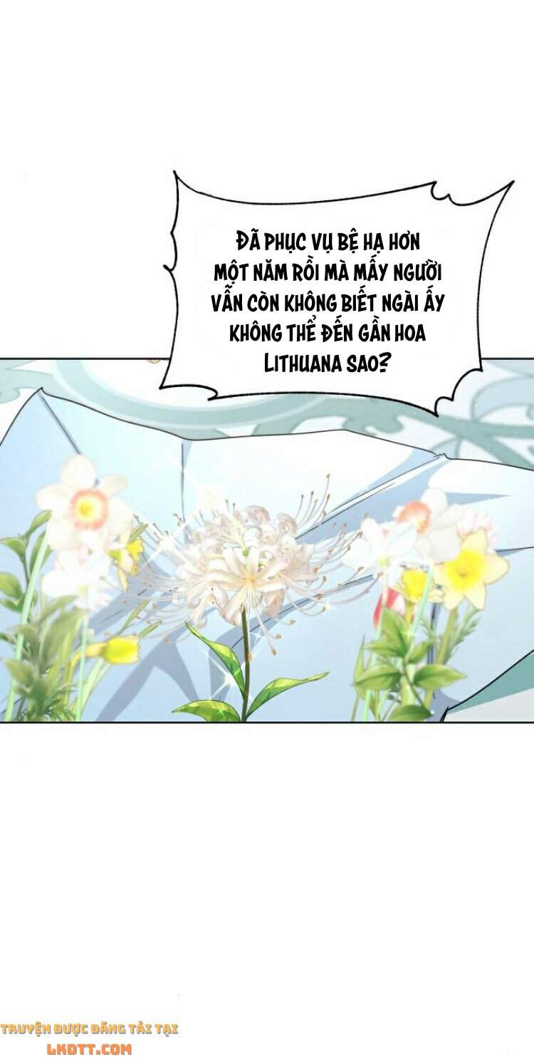 Ta Đã Từng Mong Nàng Biến Mất - Chương 21