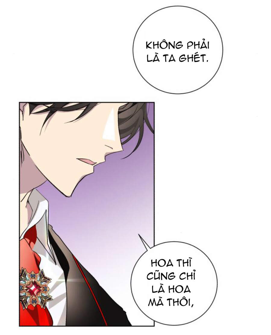 Ta Đã Từng Mong Nàng Biến Mất - Chương 24