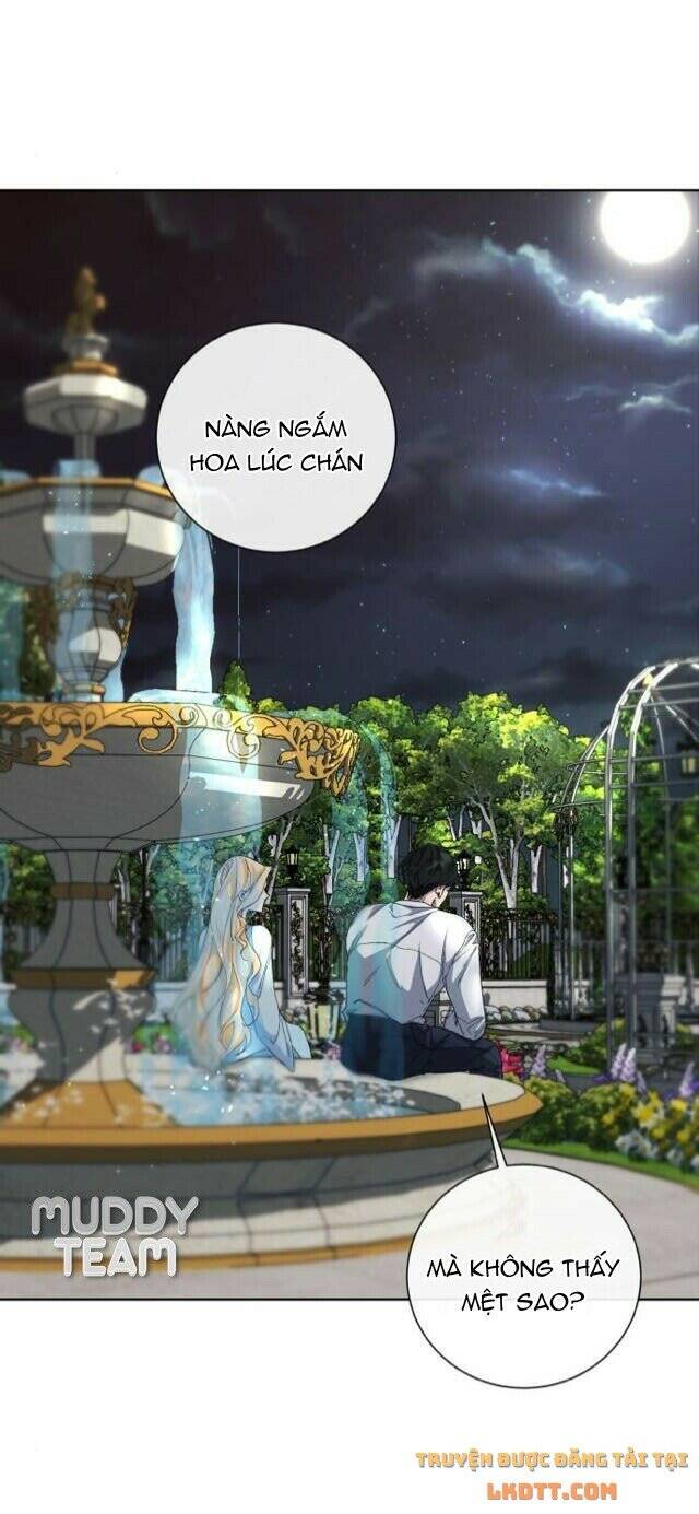 Ta Đã Từng Mong Nàng Biến Mất - Chương 28